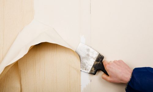 Professional wallpaper installation project 7